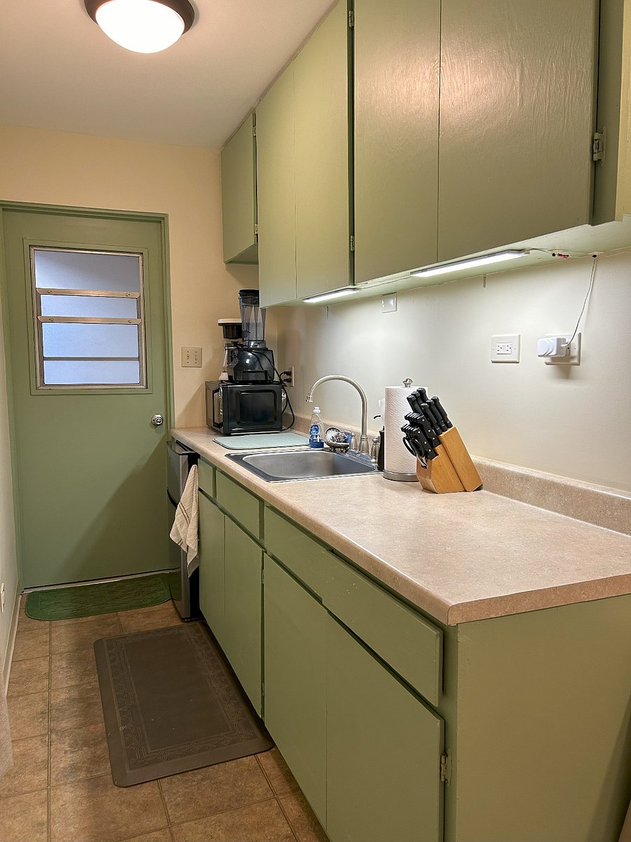 Kitchenette with ample cabinet space above and below counter.