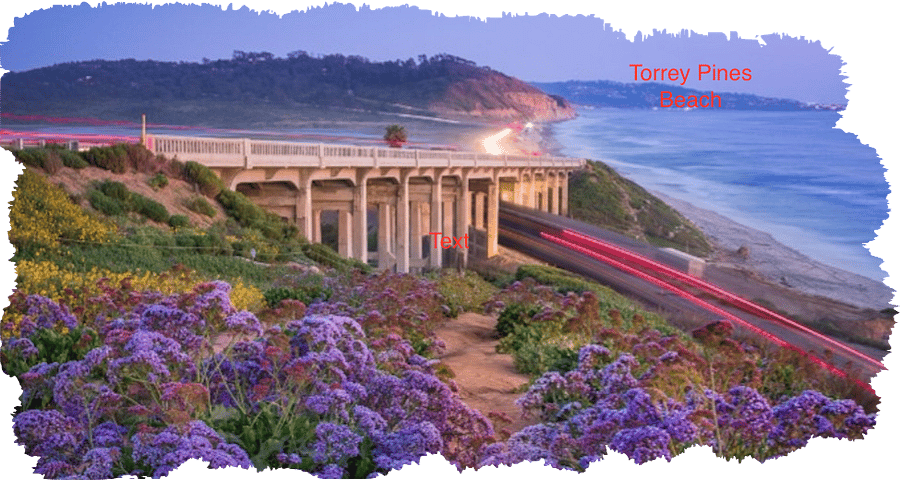 Torrey Pines Beach