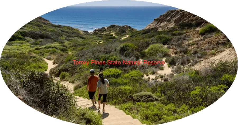 Torrey Pines State Natural Reserve