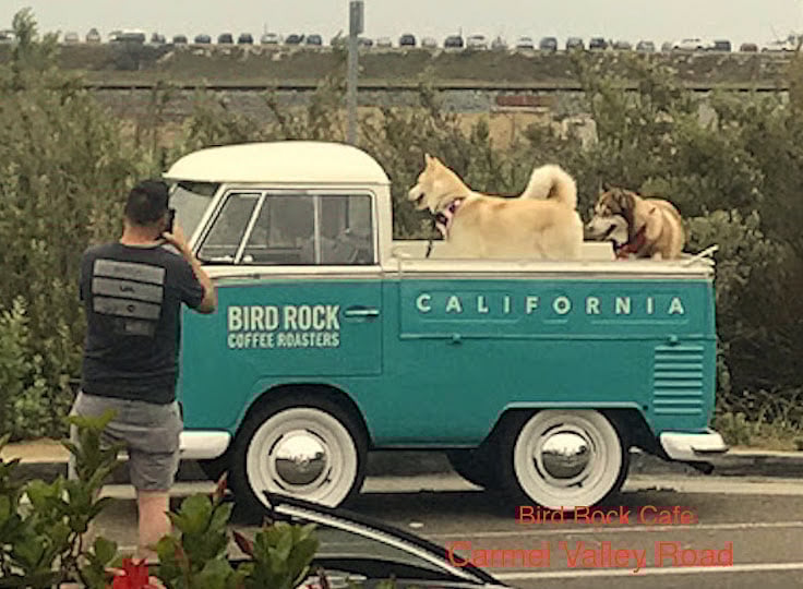 Bird Rock Cafe,
Carmel Valley Rd.