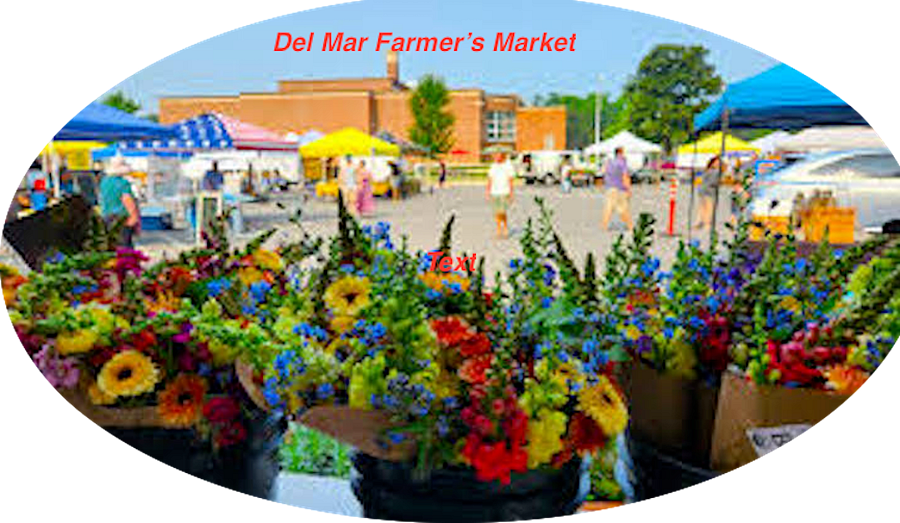 Del Mar Farmer's Market