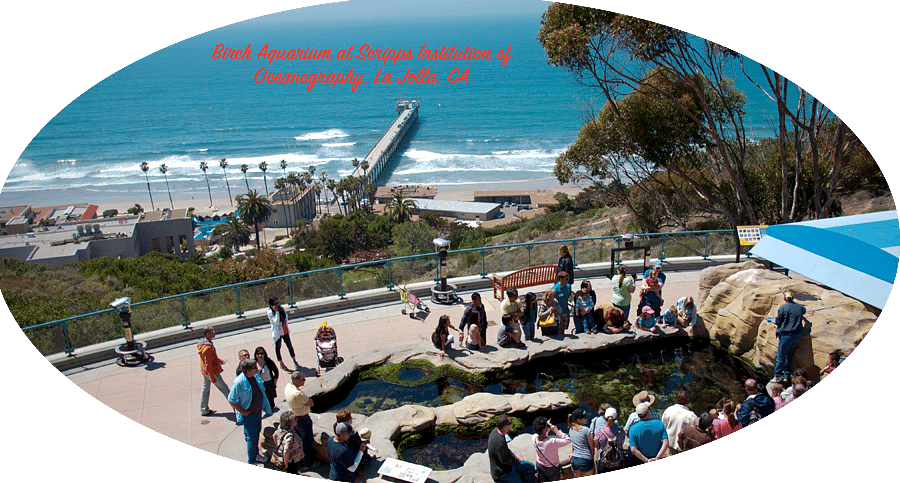 Birch Aquarium At La Jolla, CA