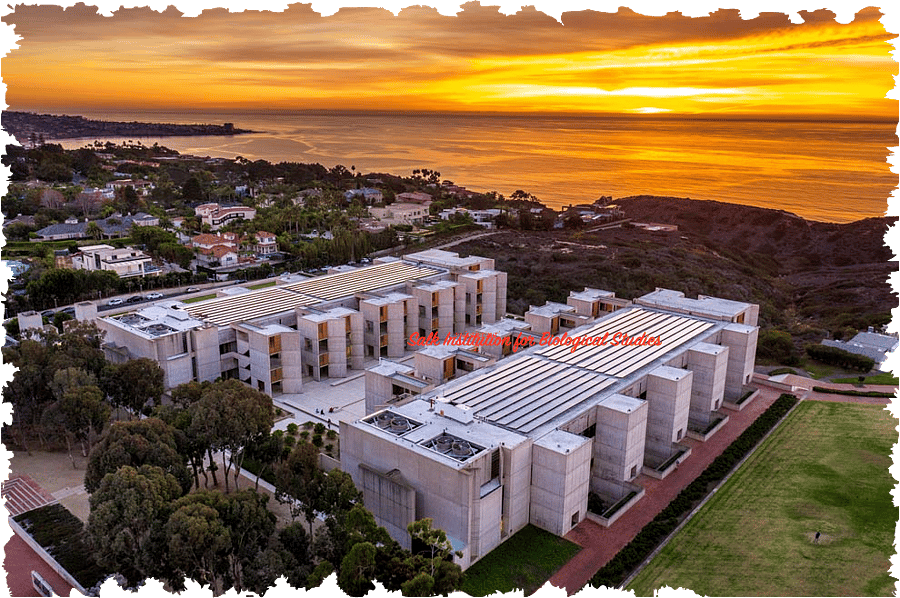 Salk Institute of Biological Sciences
