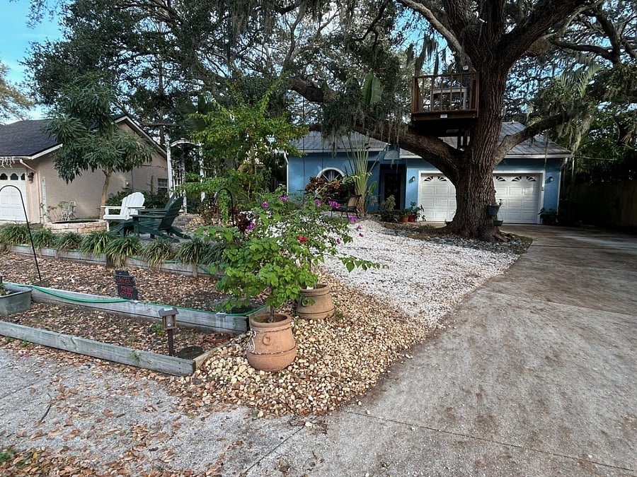 Front yard area with swings in the oak trees and firepit