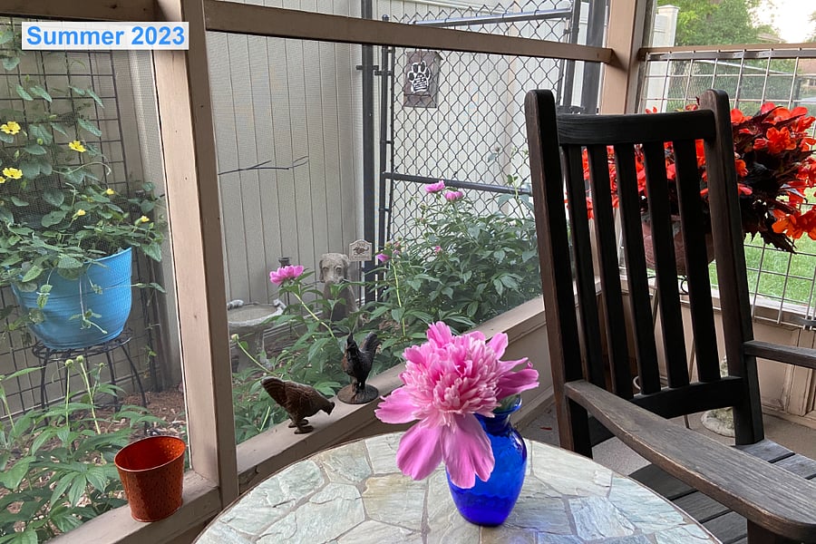 Furnished Finder property 699830_1 photo 30