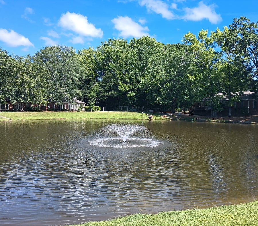 Lovely lake located on the property.