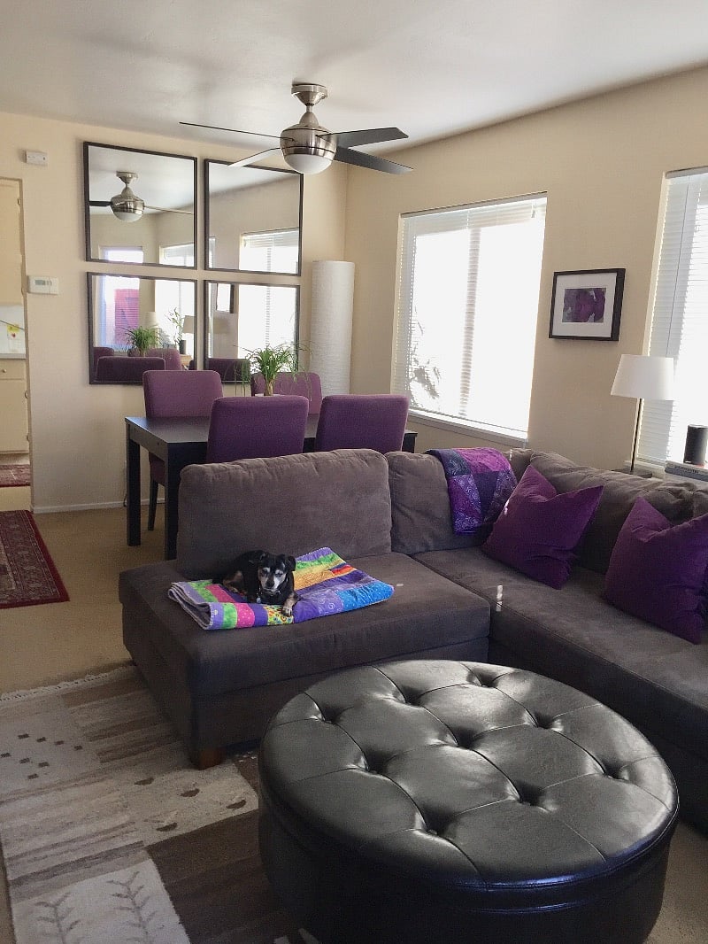 Living/Dining Area with lots of light.