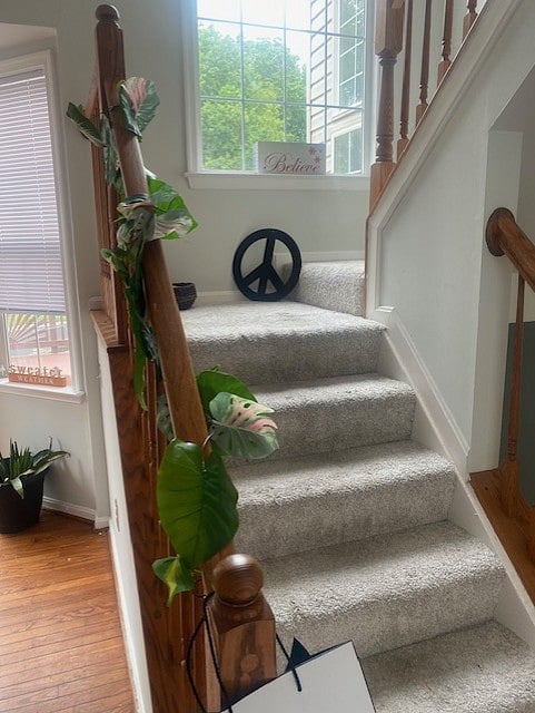 Furnished Finder property 700009_1 photo 3