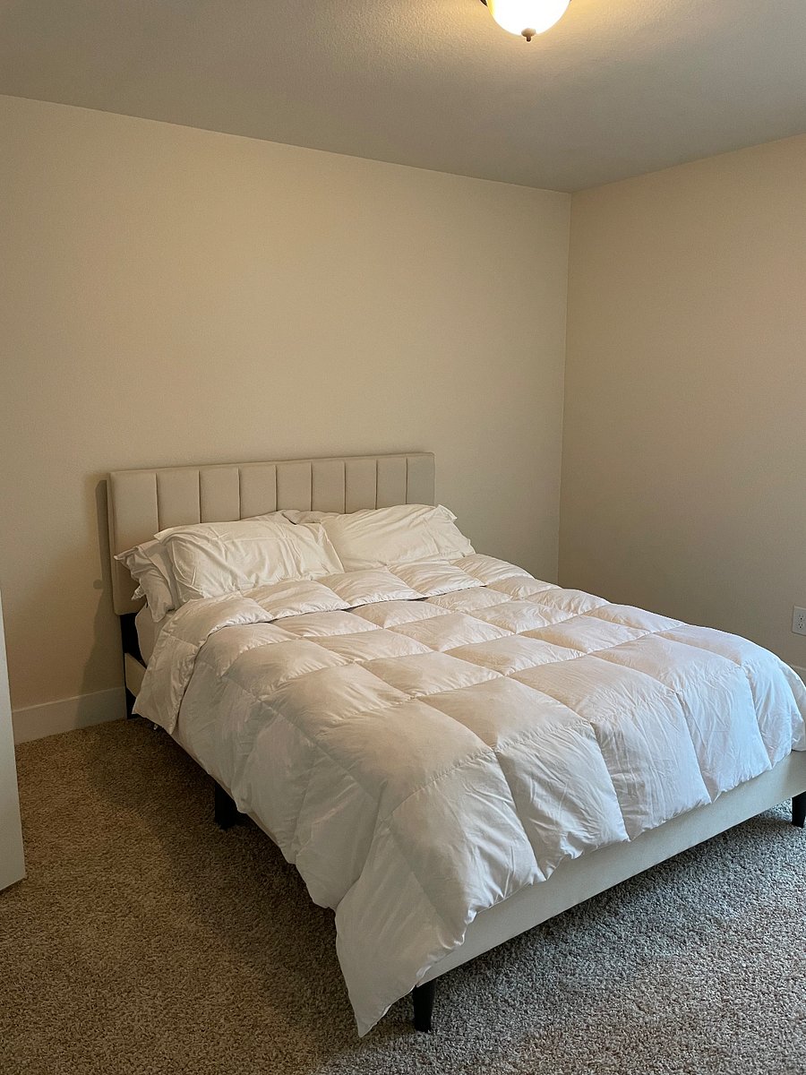 Furnished Finder property 700064_1 photo 5