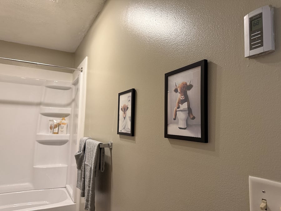 Furnished Finder property 700126_1 photo 12