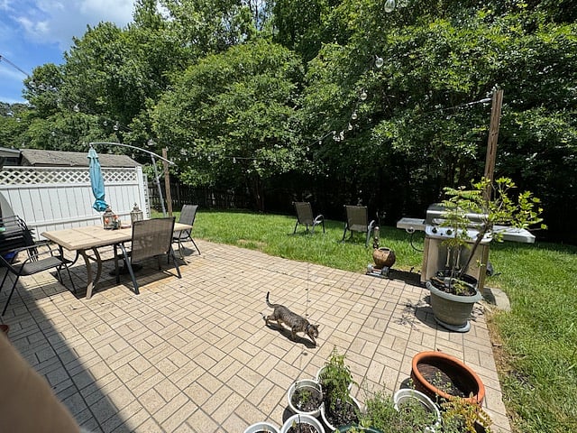 Furnished Finder property 700946_1 photo 10