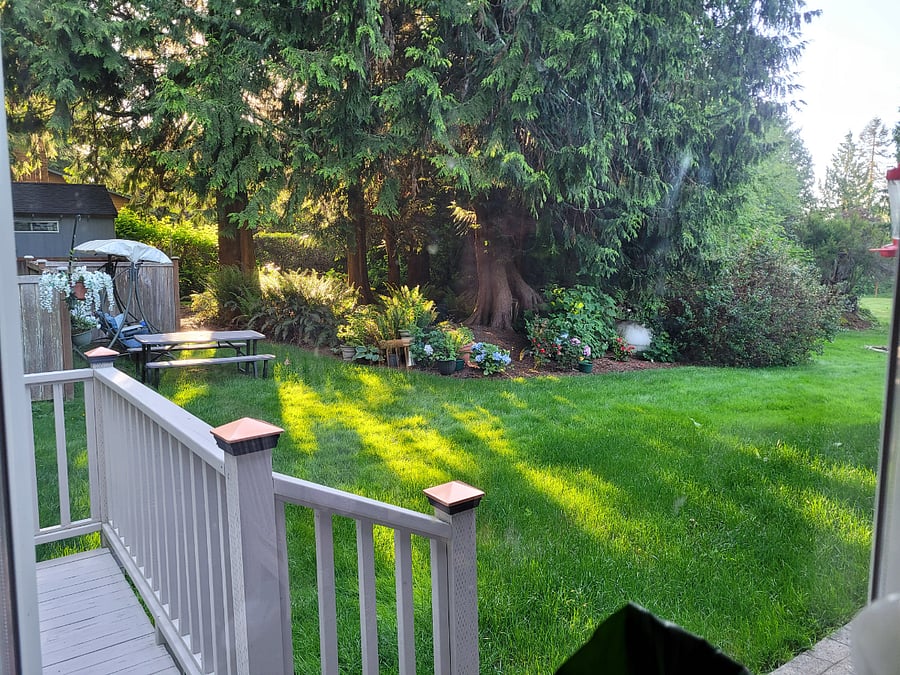 Furnished Finder property 701074_1 photo 4