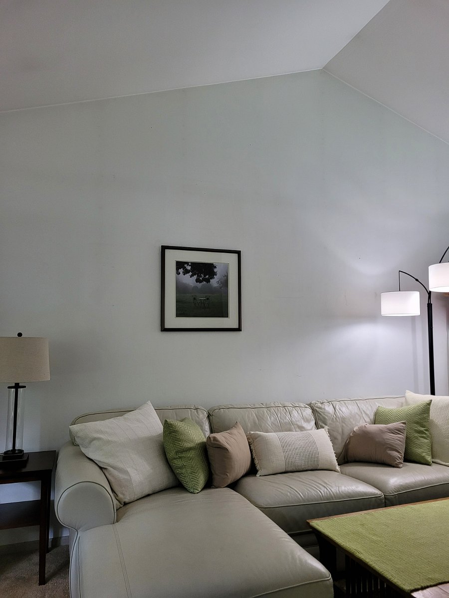 Furnished Finder property 701074_1 photo 5