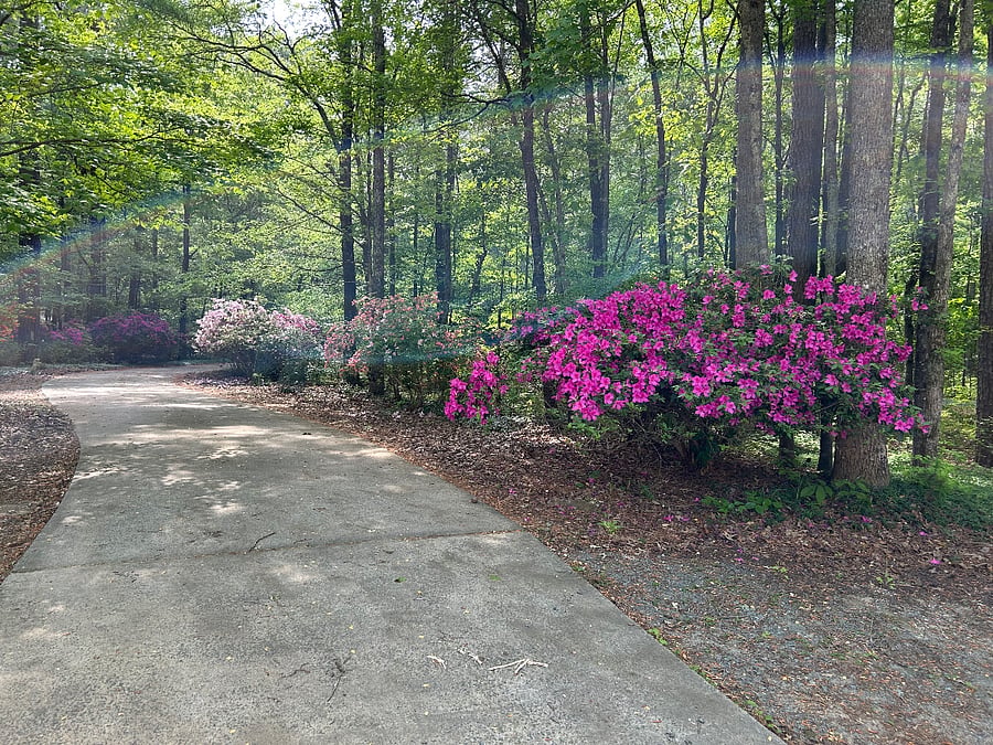 Long driveway with plenty of off street parking.