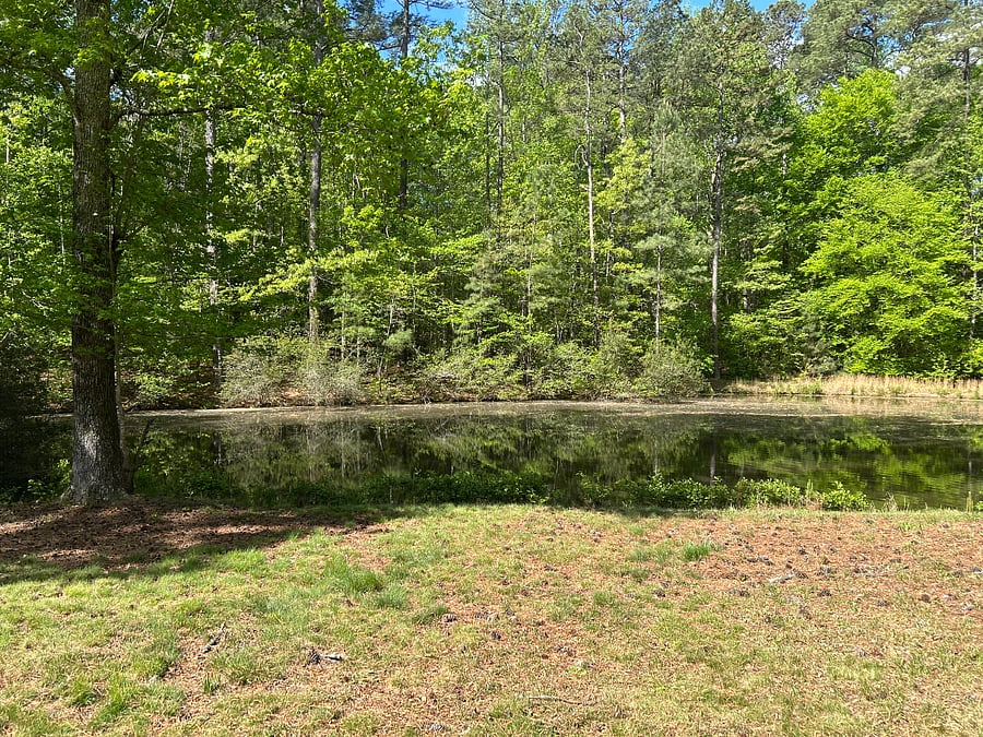 Beautiful and private grounds with pond.
