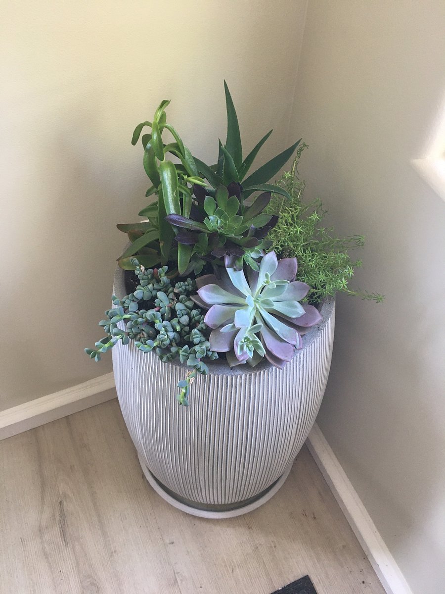 A lovely plantscape to greet you on your return home