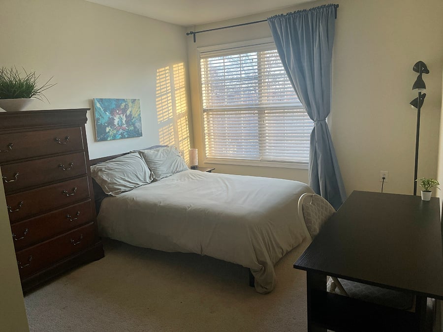Furnished Finder property 701130_1 photo 16