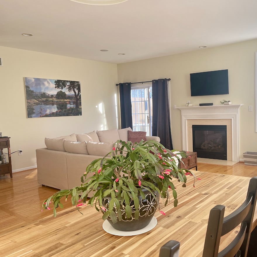 Furnished Finder property 701130_1 photo 6