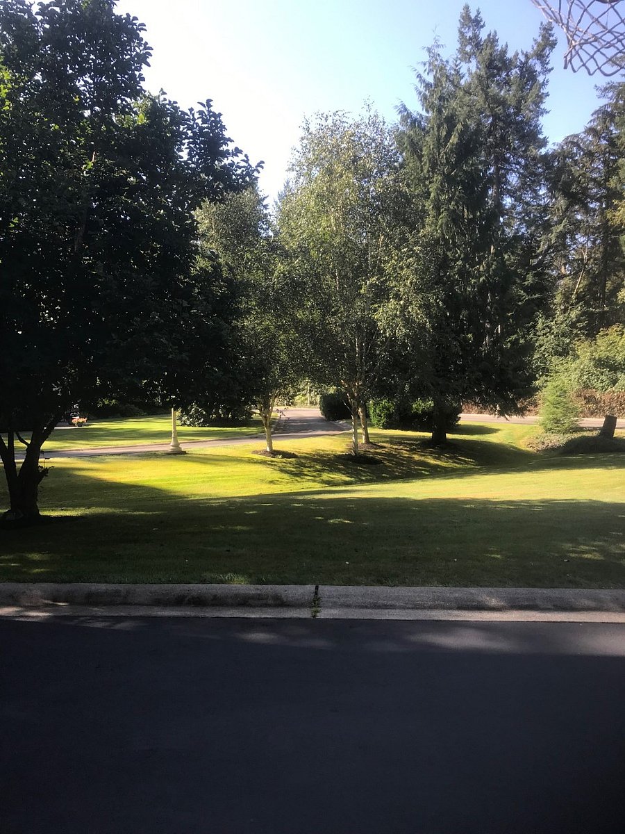 Grounds 