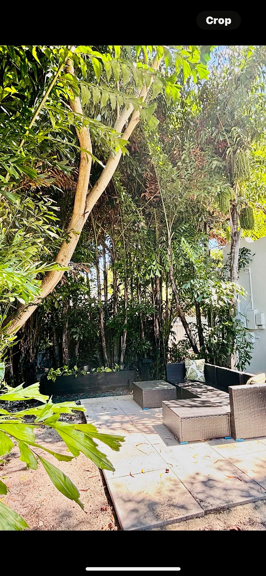 Zen tranquil garden