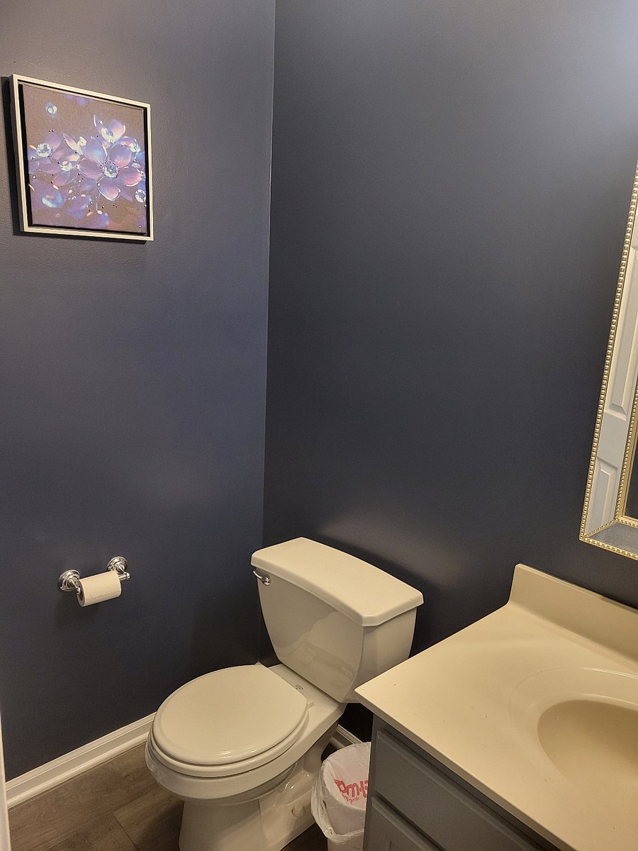 Furnished Finder property 701180_1 photo 6