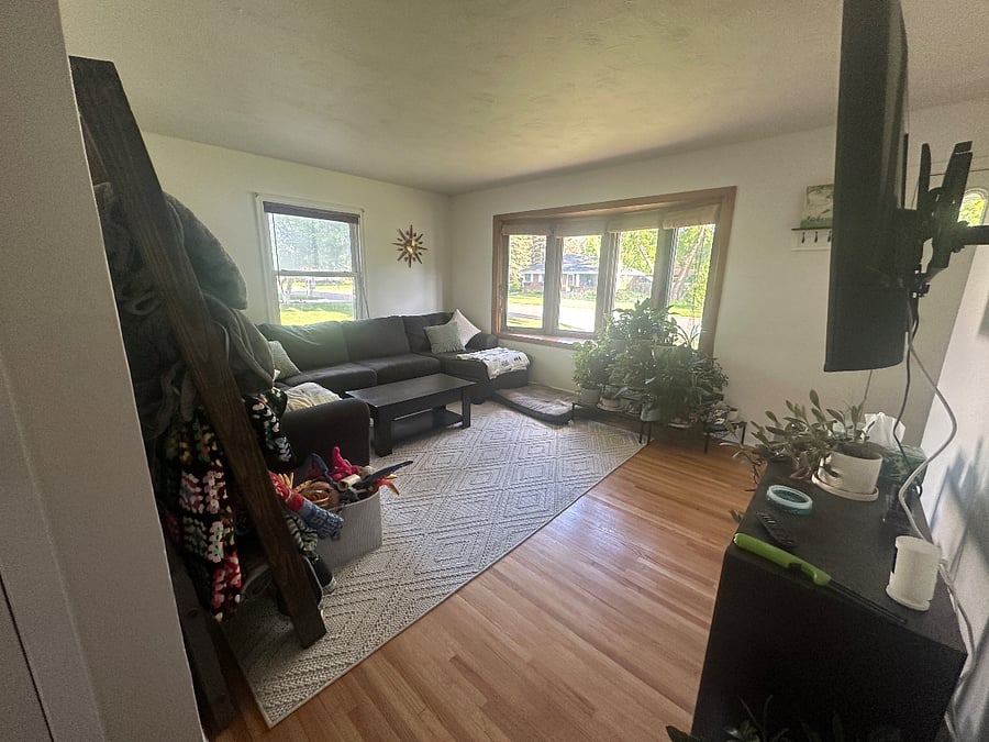 Furnished Finder property 701257_1 photo 11