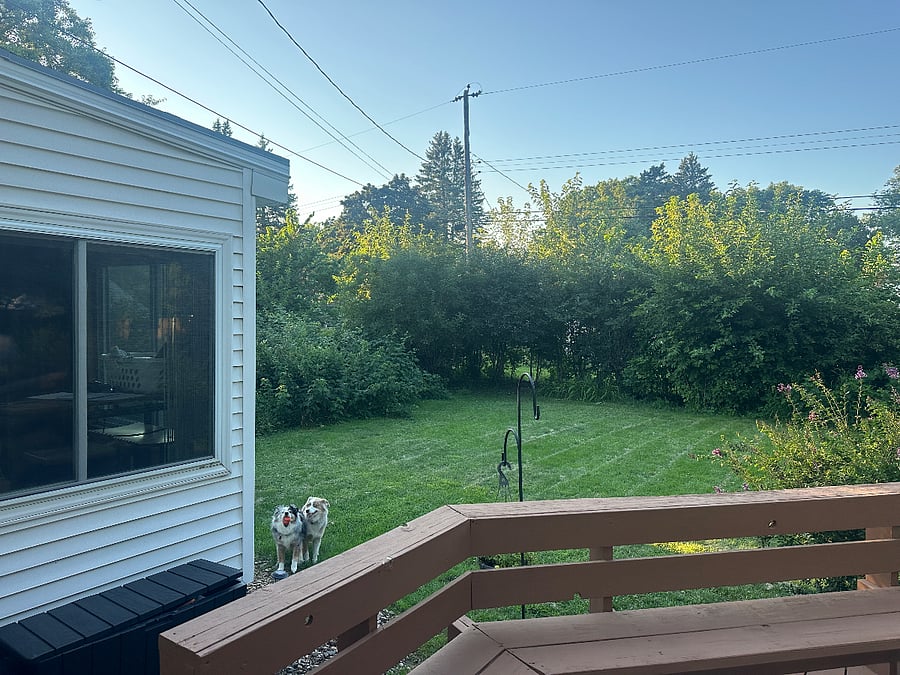 Furnished Finder property 701257_1 photo 14
