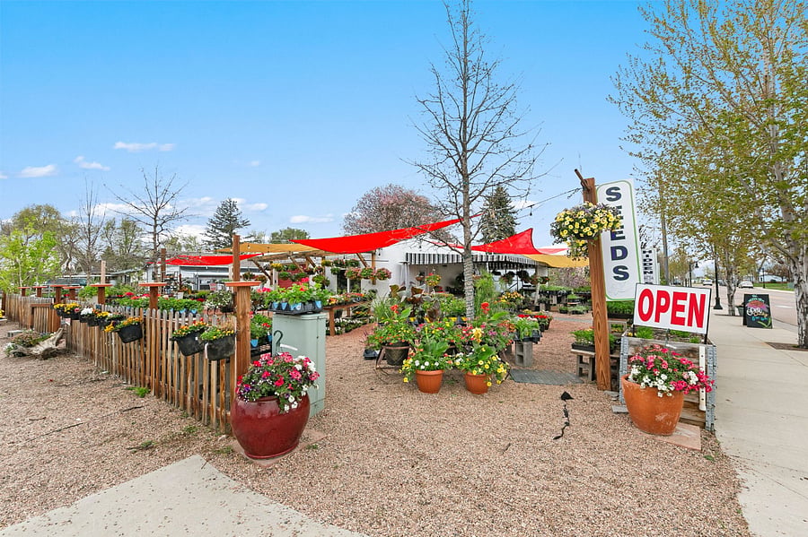 The Hidden Stem bedding plants and gift store across the street