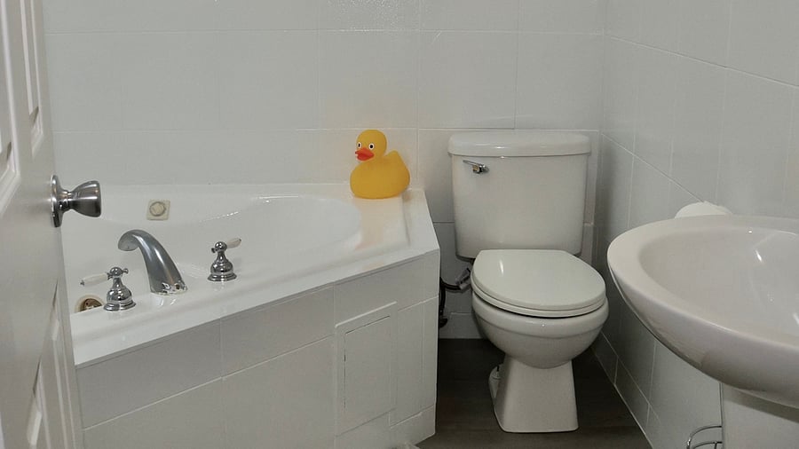 Furnished Finder property 701342_1 photo 17