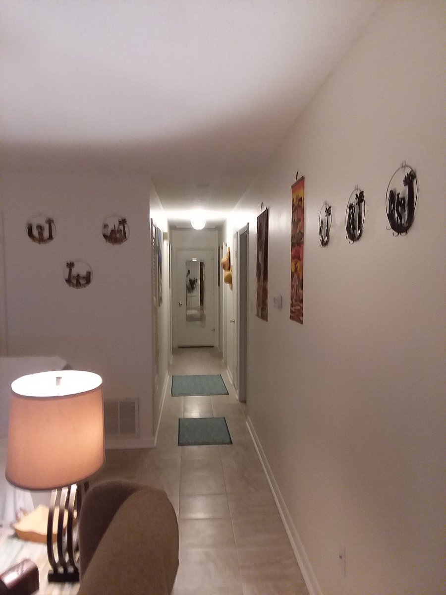 Furnished Finder property 701434_1 photo 3
