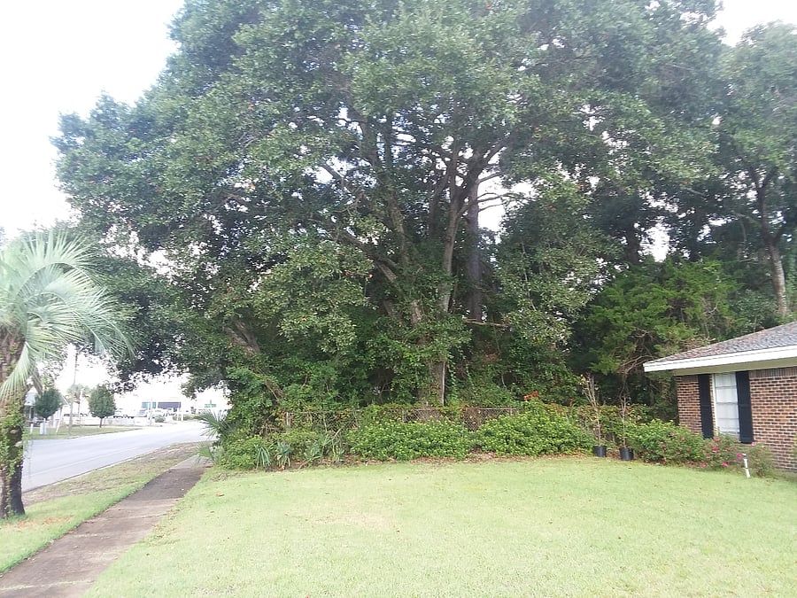 Furnished Finder property 701434_1 photo 11