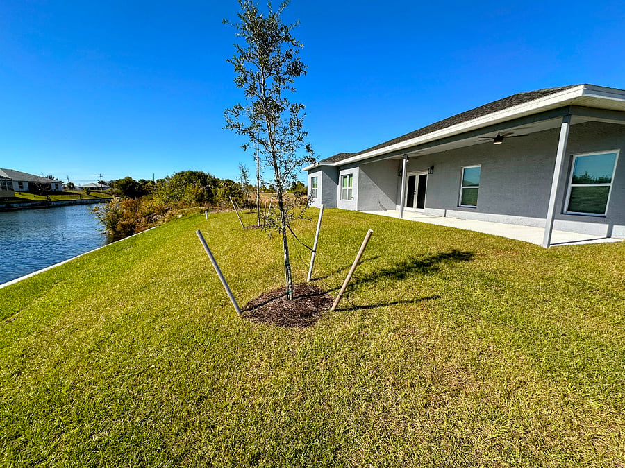 Furnished Finder property 701478_1 photo 11