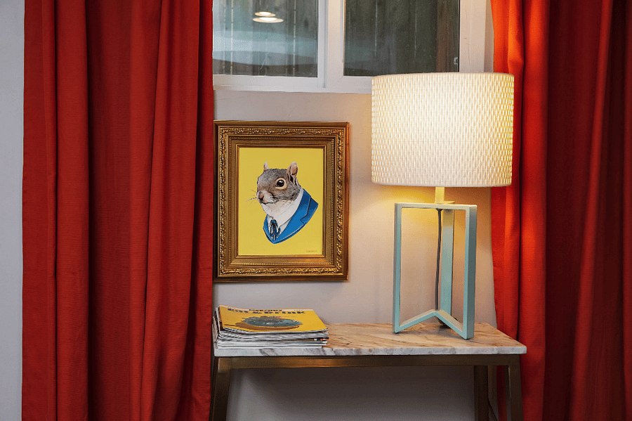 Explore all Portland has to offer, and get to know some of it's furry residents.