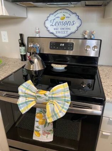 Electric range and oven