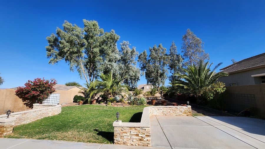 Furnished Finder property 701853_1 photo 16