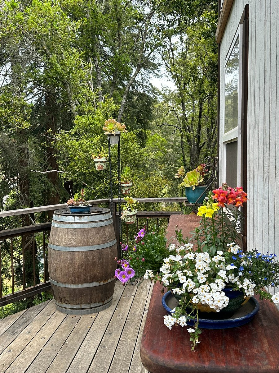 Furnished Finder property 701885_1 photo 4