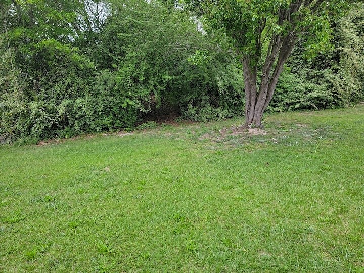 Furnished Finder property 702005_1 photo 15