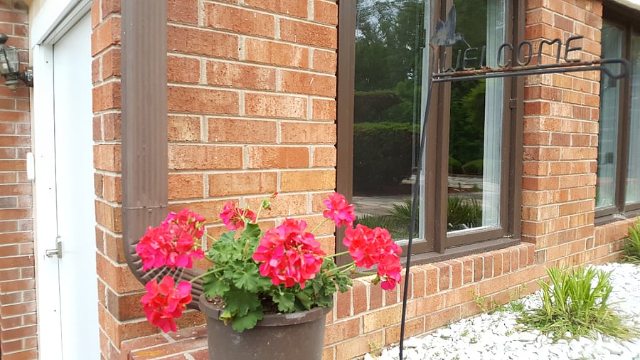 Furnished Finder property 702174_1 photo 67