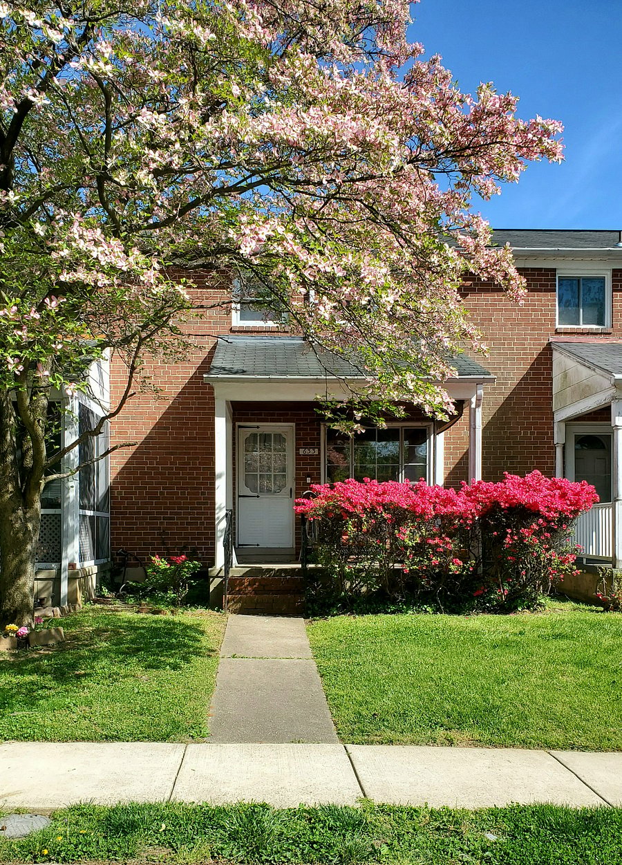 Outside of House