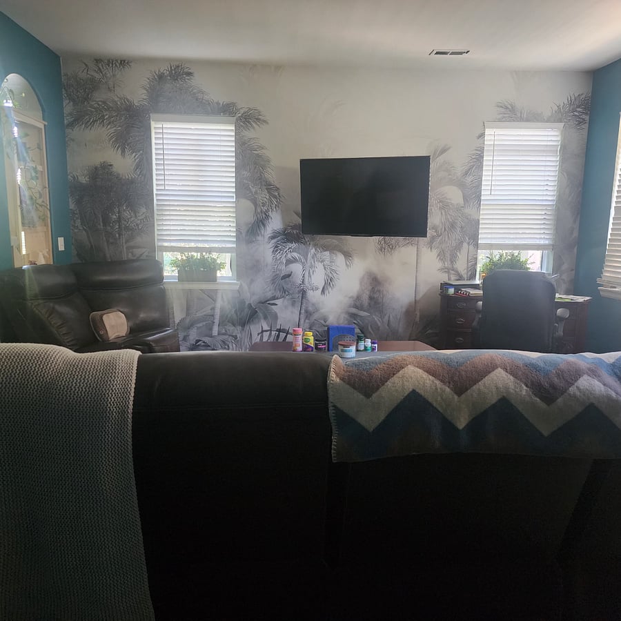 Furnished Finder property 702302_1 photo 4