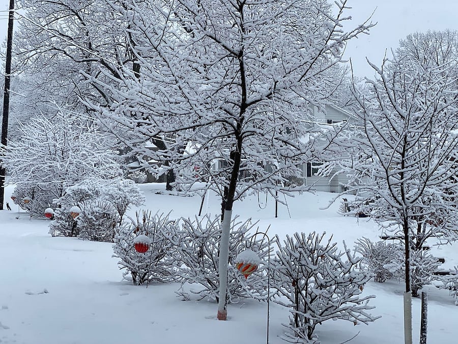 Beautiful flower beds are charming every season.