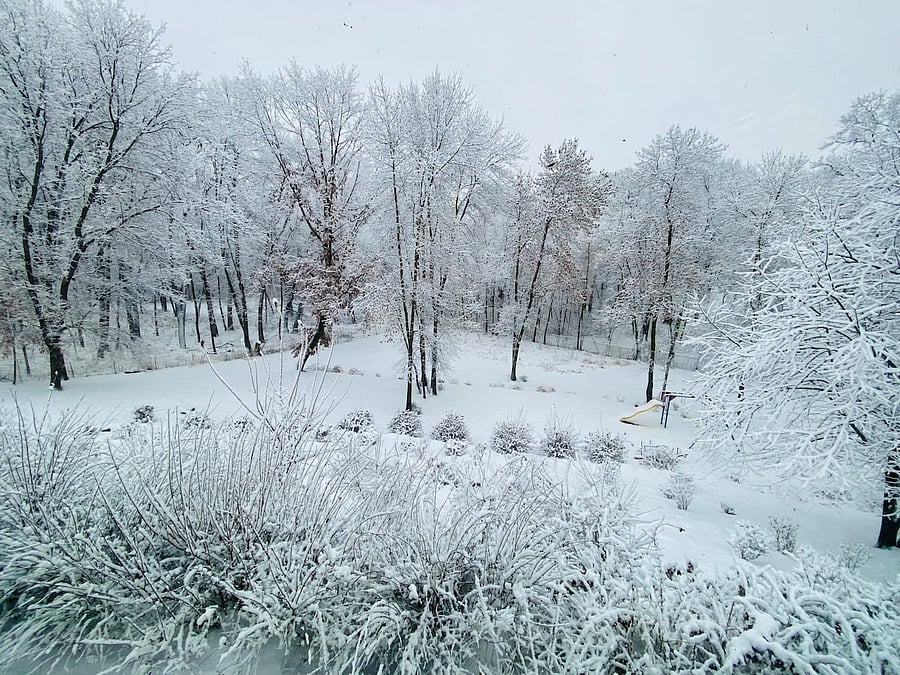 A view from the living room and lower level to the backyard.