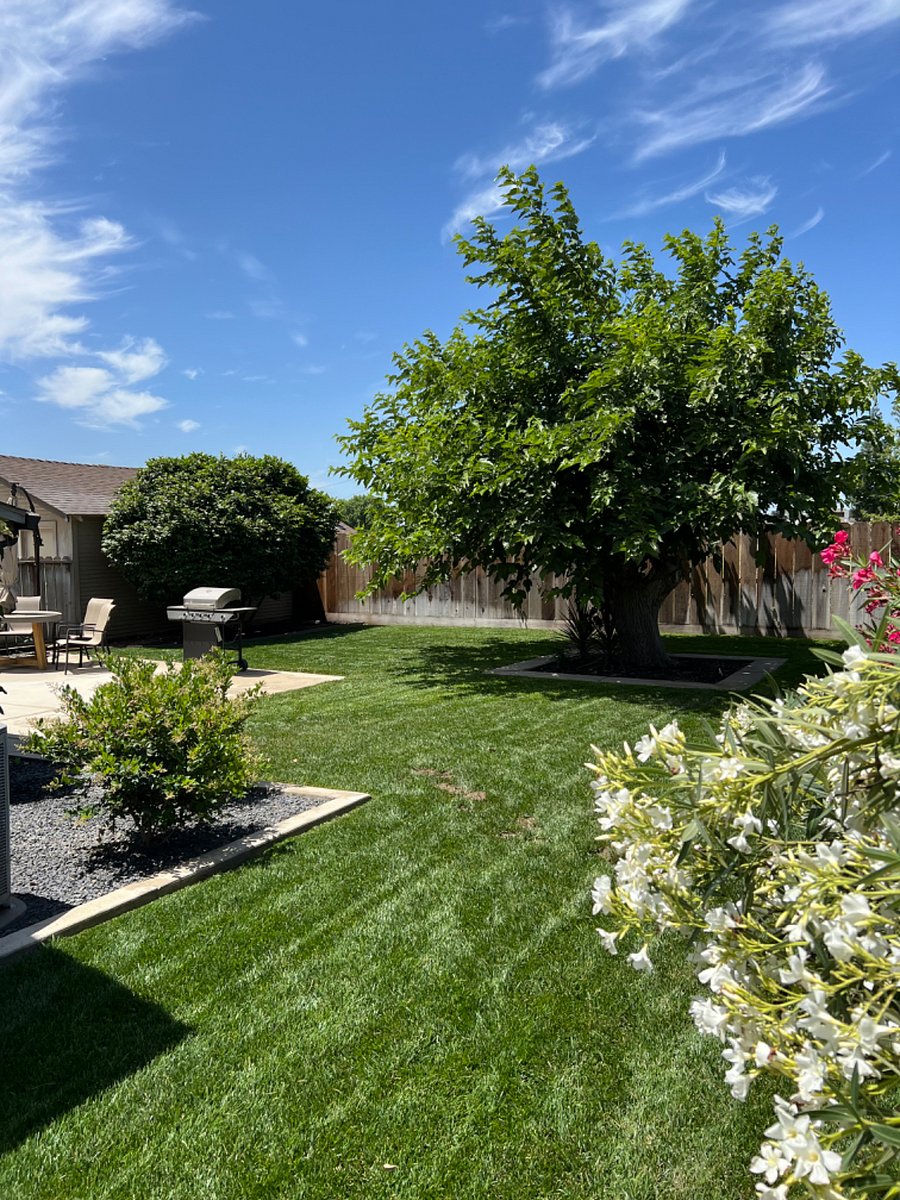 Furnished Finder property 702408_1 photo 10