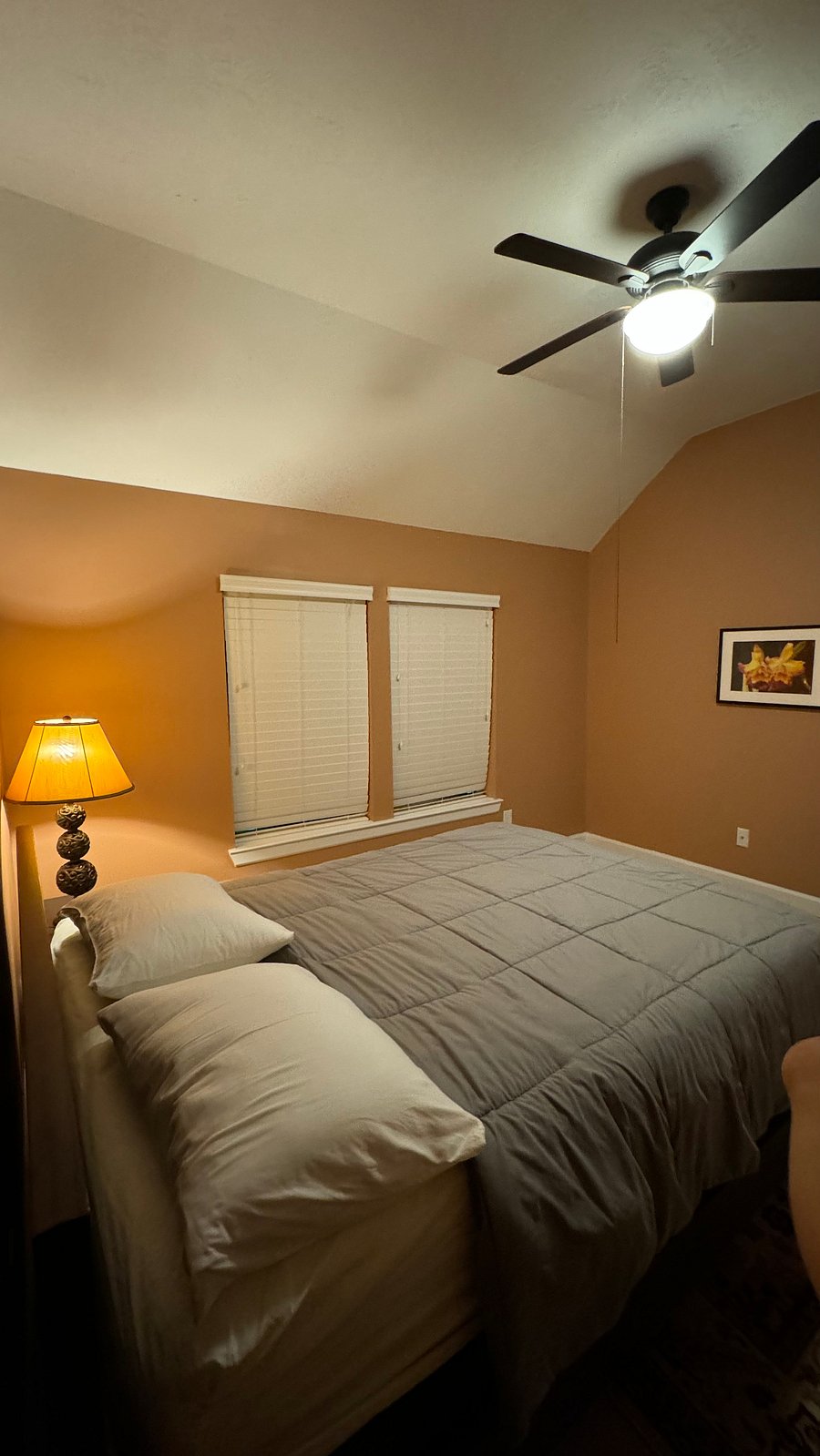 Furnished Finder property 702456_1 photo 25