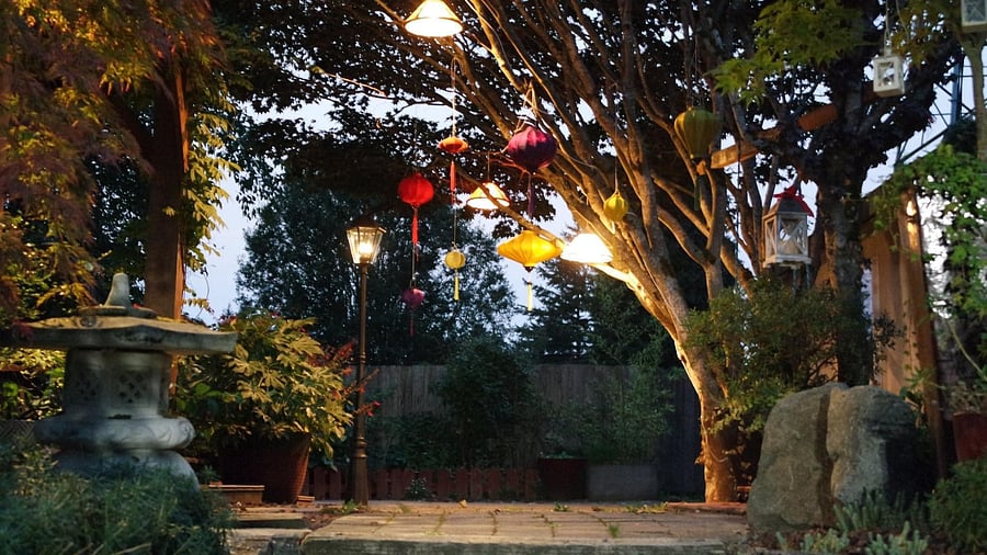 Outdoor garden at night with optional summer lighting. 