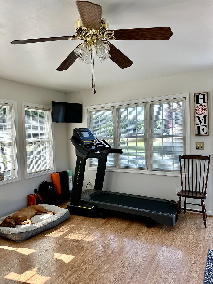 Furnished Finder property 702594_1 photo 12