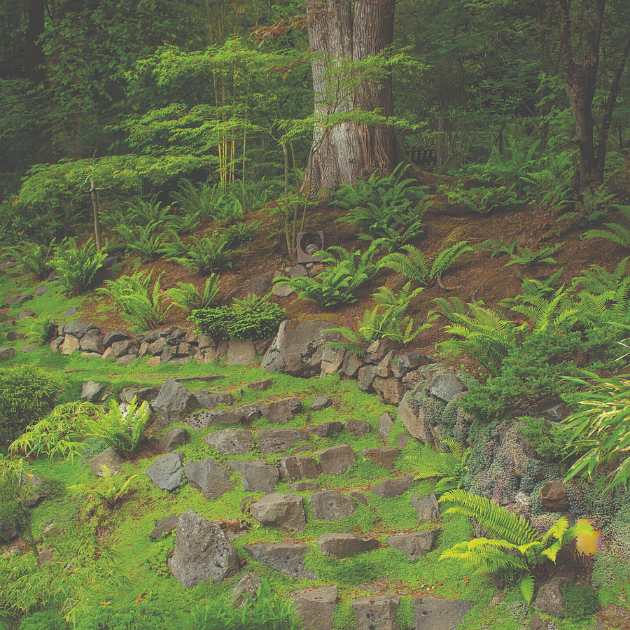 Stairway to upper garden and meditation bench.