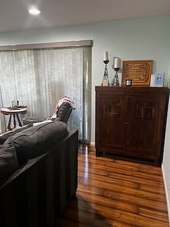 Wine game cabinet 