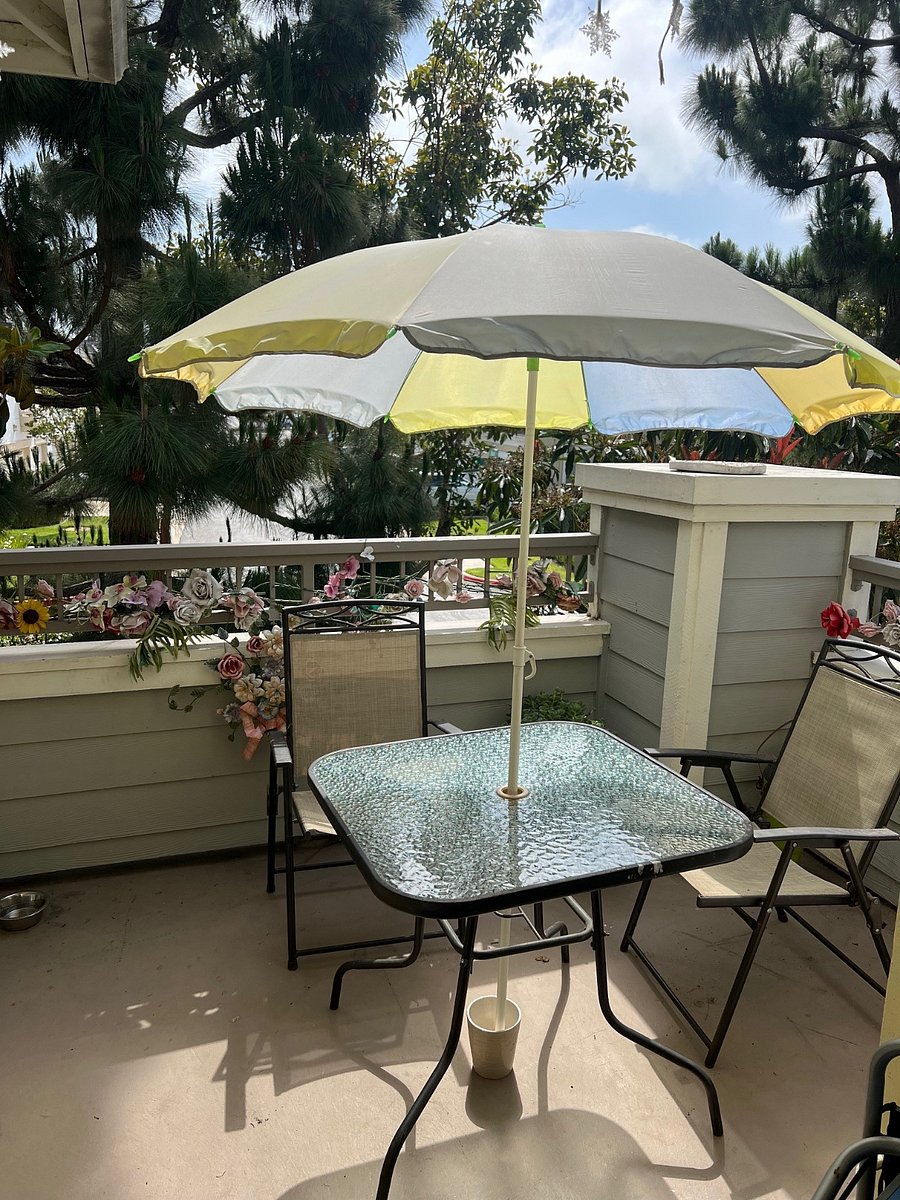 Patio overlooking the trees