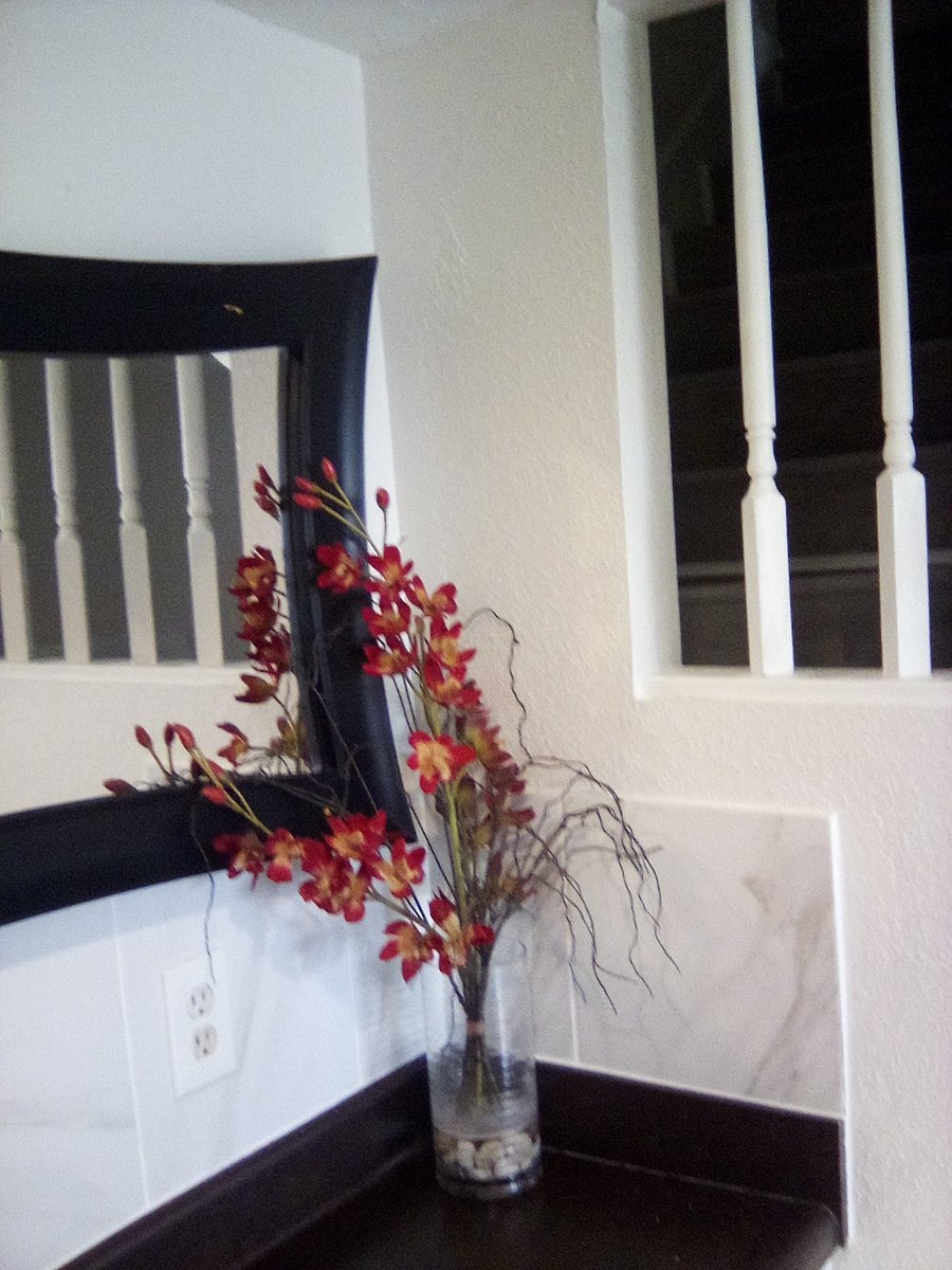 Furnished Finder property 702990_1 photo 9